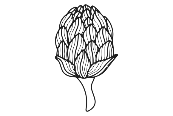 Flower Line Art. Botanical Drawing. Flor