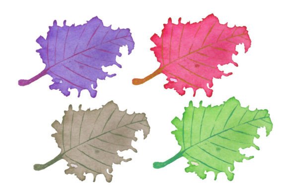 Watercolor Beautiful Leaves Vector